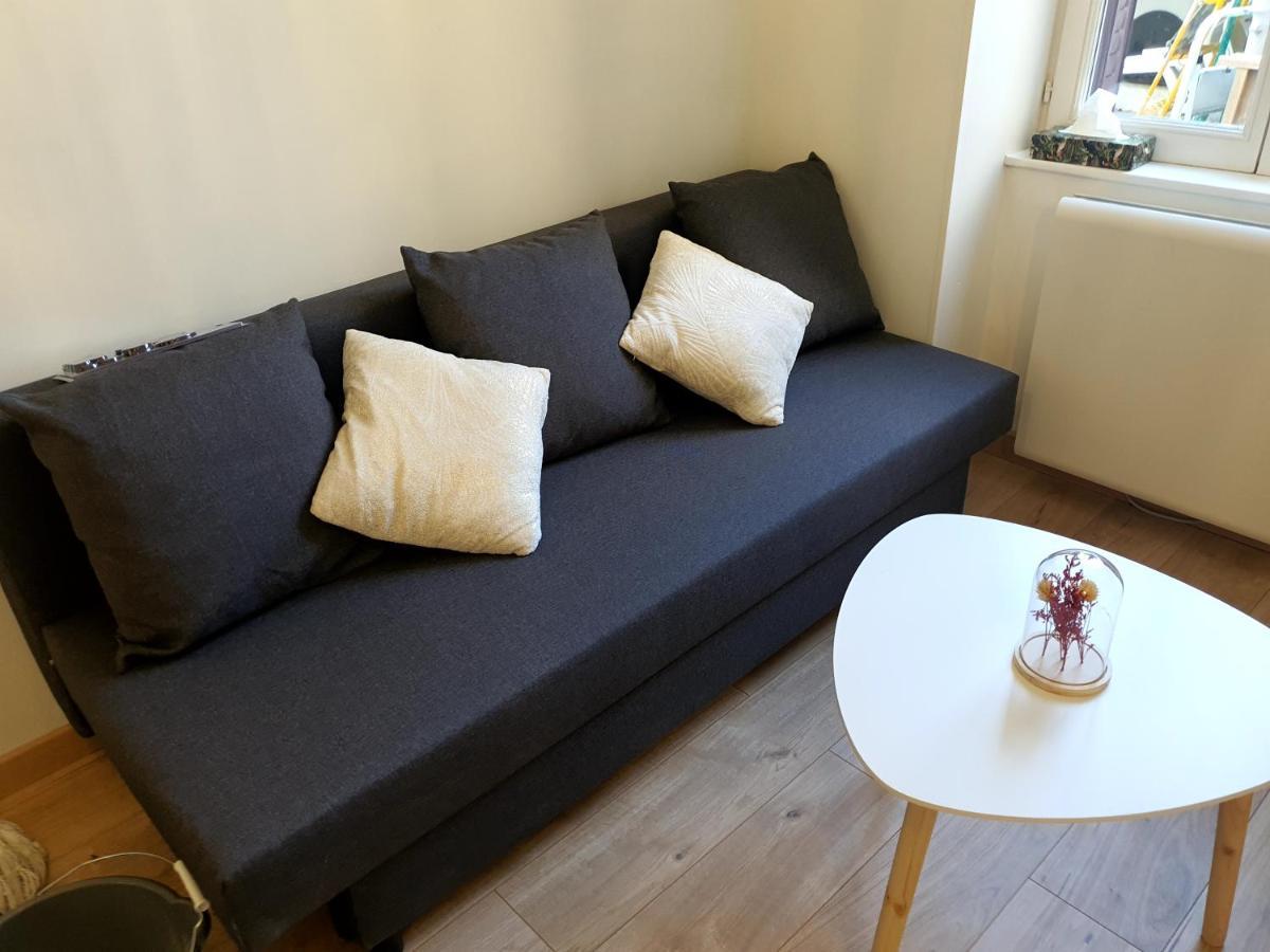 Appartement Cosy Entier, Parking Gratuit Dans La Rue Dijon Exterior foto