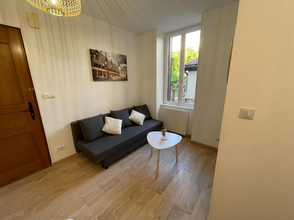 Appartement Cosy Entier, Parking Gratuit Dans La Rue Dijon Exterior foto